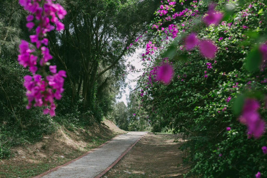 翟山坑道 ｜金門必訪軍事景點，藏匿登陸小艇的地下奇景，花崗石山岩底的A字水道
